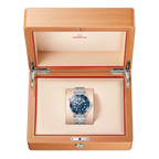 Seamaster Diver 300M 42 mm