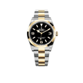 Explorer 36mm 18k Yellow Gold and Stainless steel (2024) 124273-0001