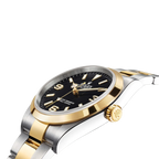Explorer 36mm 18k Yellow Gold and Stainless steel (2024) 124273-0001