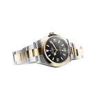 Explorer 36mm 18k Yellow Gold and Stainless steel (2024) 124273-0001