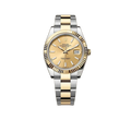 Datejust 41mm Champagne Dial Yellow Rolesor 126333-009